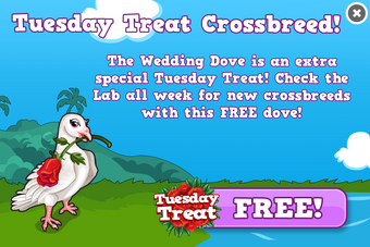 wedding dove tiny zoo wiki fandom wedding dove tiny zoo wiki fandom