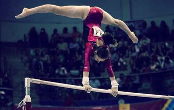 Gimnasia Tipos De Deportes Wiki Fandom