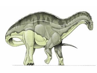 Dicraeosaurus-1