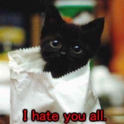 Theveryblackcat
