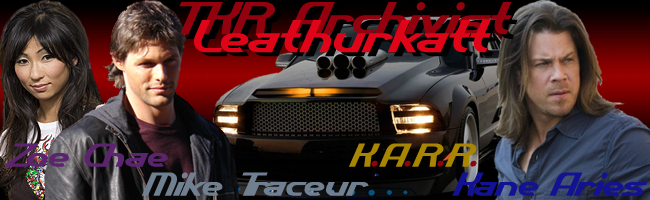 Katt TKR sig