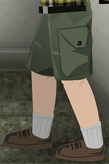 Cargoshorts sdw