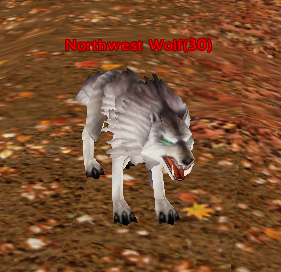 Northwest Wolf