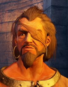 Chapterscaptain