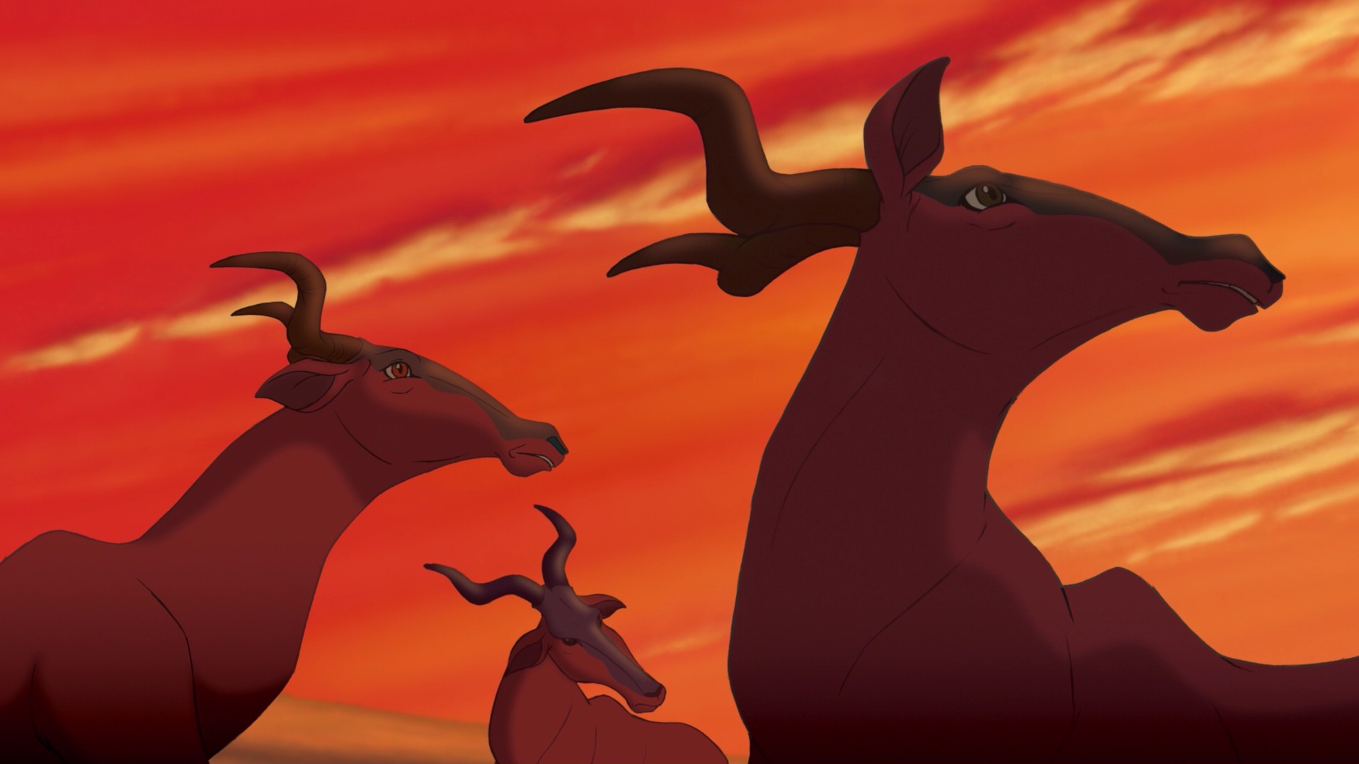 Antylopy | Król Lew Wiki | FANDOM powered by Wikia
