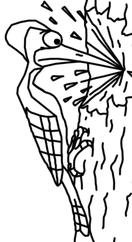 File:PicidaePortrait.png