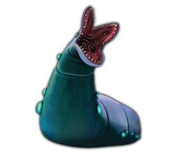 Kraathatrogonprofile