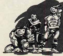 Ninjaturtles-roadhogs