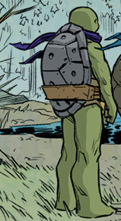 Donatello's grey carapace
