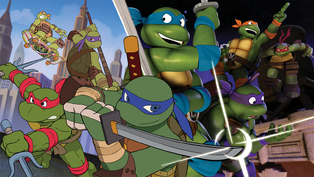 Trans-Dimensional-Turtles01