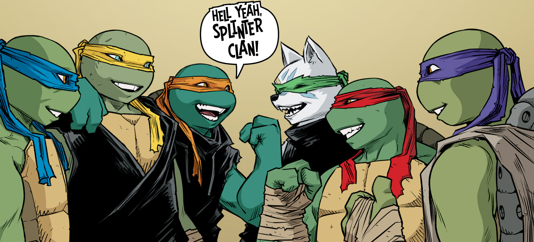 Original Female Teenage Mutant Ninja Turtle Joining the Comic Book