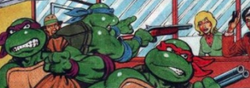 Waruiturtles