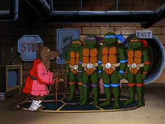 Teenage Mutant Ninja Turtles 1987 Tv Series Season 10