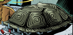 Prosthetic carapace ready