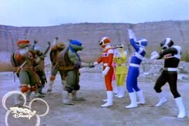 Turtles and Rangers