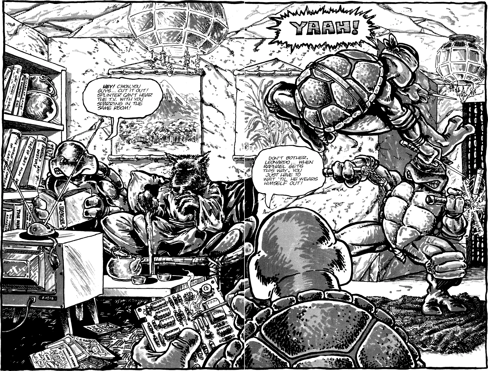 Turtle Lair TMNTPedia FANDOM powered by Wikia