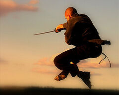 Ninjutsu-Jump