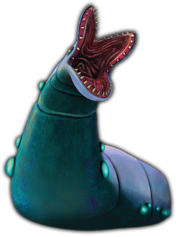 13b-kraathatrogon