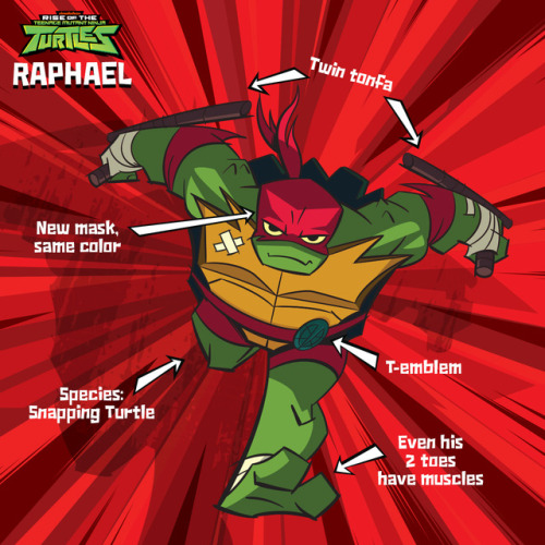 Raphael Rise Of The Tmntgallery Tmntpedia Fandom 3259