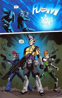 IDW 17 18