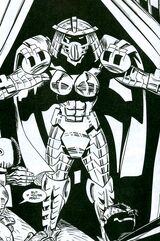 IM Lady Shredder