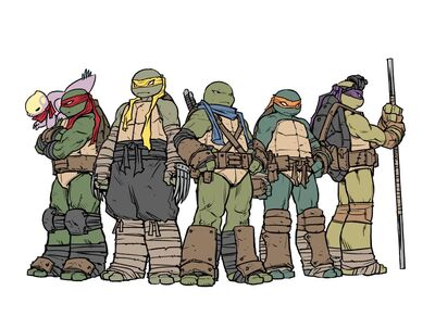 Idw fiveturtles