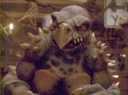 TMNT Tokka