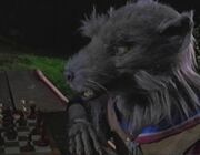 Splinter tnm