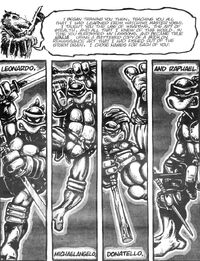 TMNT v1 1 19