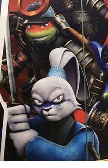 Miyamoto Usagi (2012 TV series)  TMNTPedia  FANDOM 