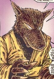 Splinter mirage
