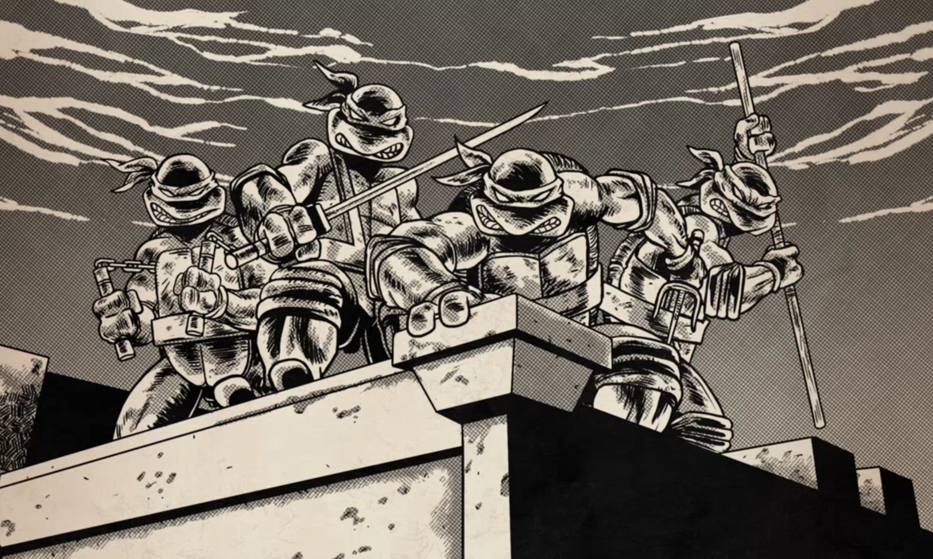 1984 turtles tmnt wiki fandom powered by wikia