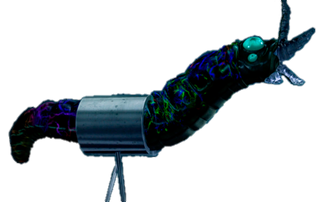 Parasites Profile