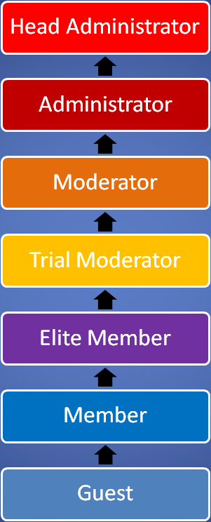 Hierarchy