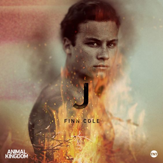 Joshua Cody | Animal Kingdom Wiki | Fandom