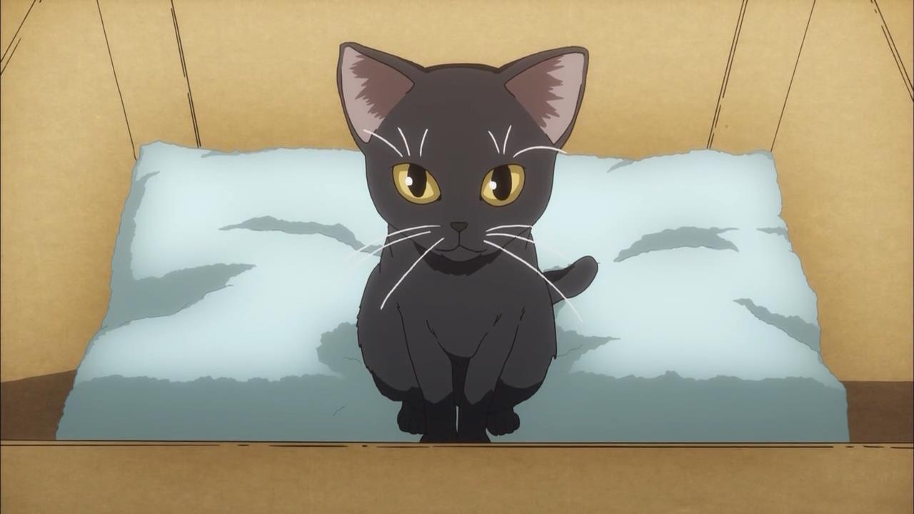index cat a certain magical index wiki index cat a certain magical index wiki