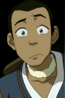 Sokka (Avatar: The Last Airbender) | Movie and TV Wiki | Fandom