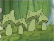 Toadstools symphony