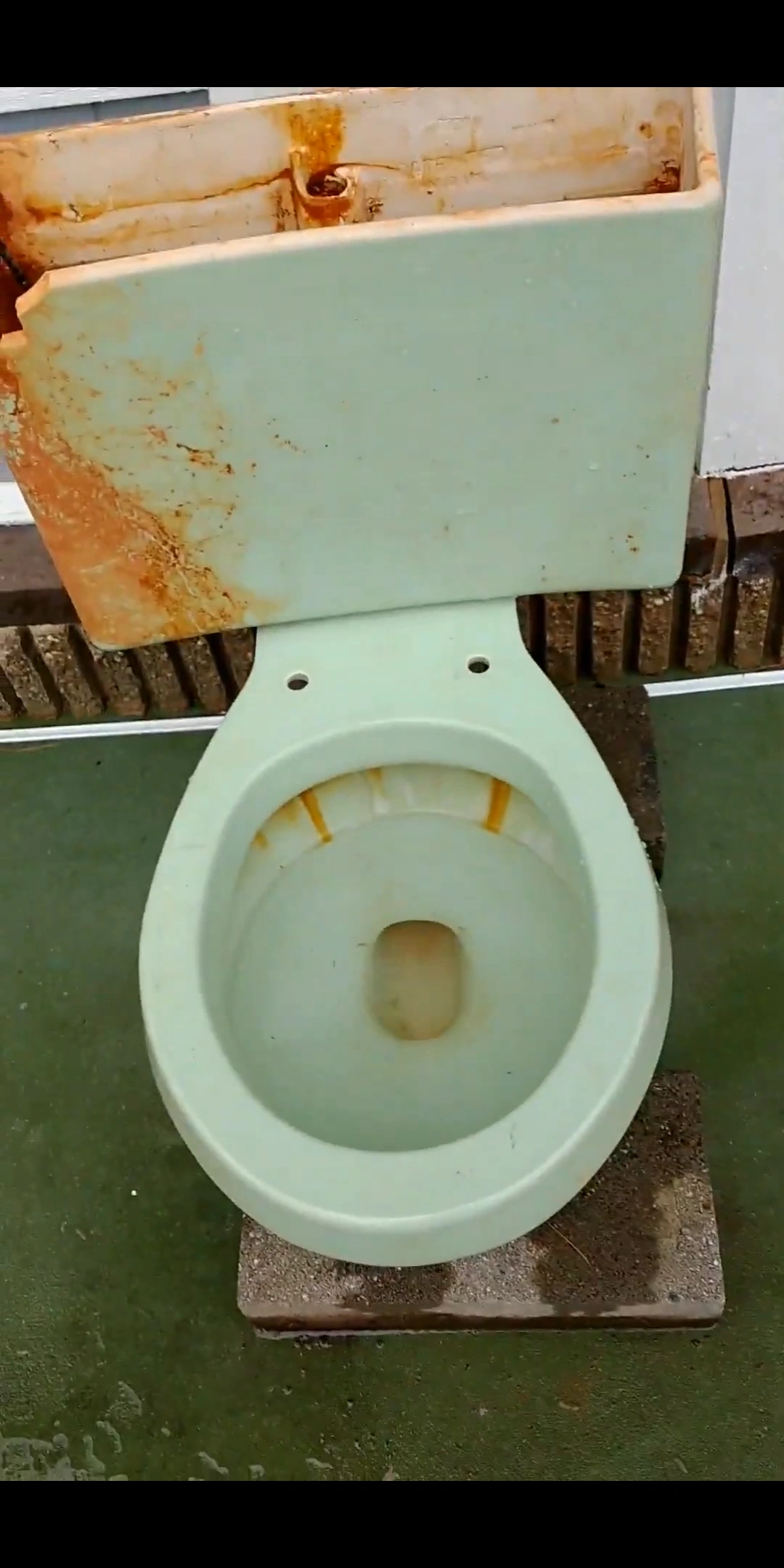 Eljer Emblem Toilets and Urinals Wiki Fandom