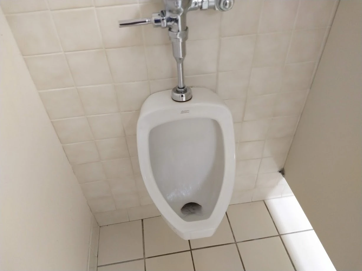 American Standard Allbrook Toilets and Urinals Wiki Fandom