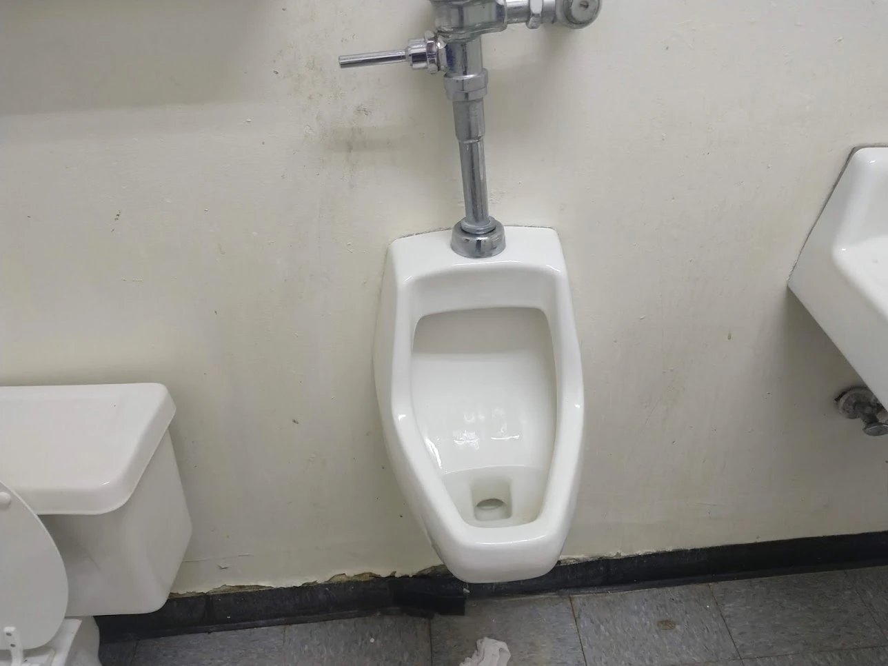 Kohler Dexter Toilets and Urinals Wiki Fandom