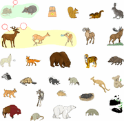 mammals