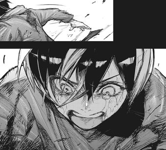 Touka Kirishima Tokyo Ghoul Wiki Fandom