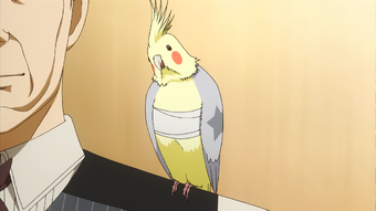 Hinami Bird Mask