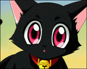 Ichigo Momiyo as a Cat