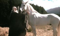 Ombromanto Il Signore degli Anelli (2002)