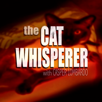 The Cat Whisperer Tom And Jerry Wiki Fandom