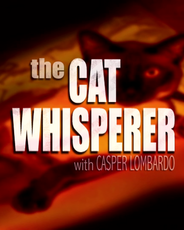 The Cat Whisperer Tom And Jerry Wiki Fandom