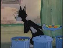 Butch spots Jerry
