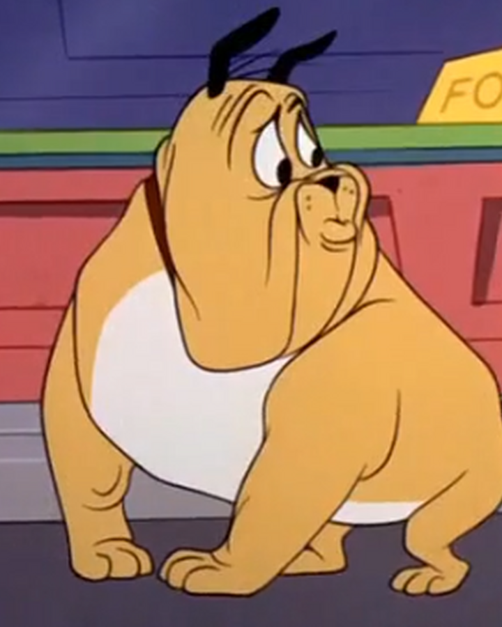 Tiny Bulldog Tom And Jerry Wiki Fandom